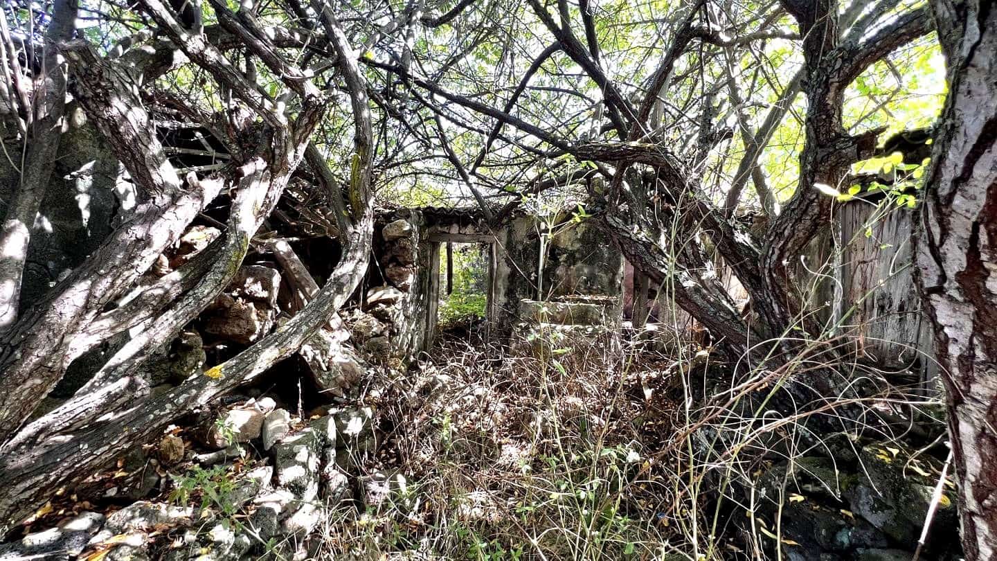 3 slaapkamer Finca/Landhuis te koop in Icod de los Vinos - € 120.000 (Ref: 9289608)