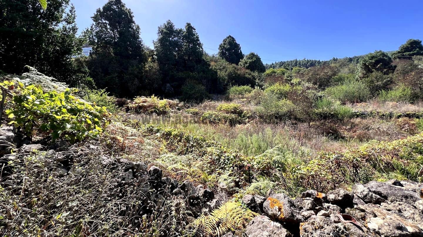 3 slaapkamer Finca/Landhuis te koop in Icod de los Vinos - € 120.000 (Ref: 9289608)