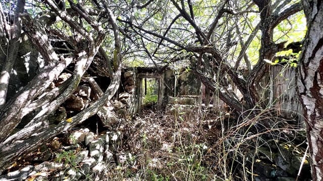 3 slaapkamer Finca/Landhuis te koop in Icod de los Vinos - € 120.000 (Ref: 9289608)