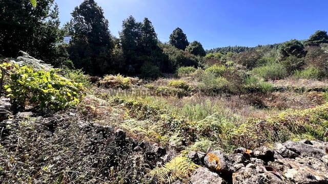 3 slaapkamer Finca/Landhuis te koop in Icod de los Vinos - € 120.000 (Ref: 9289608)