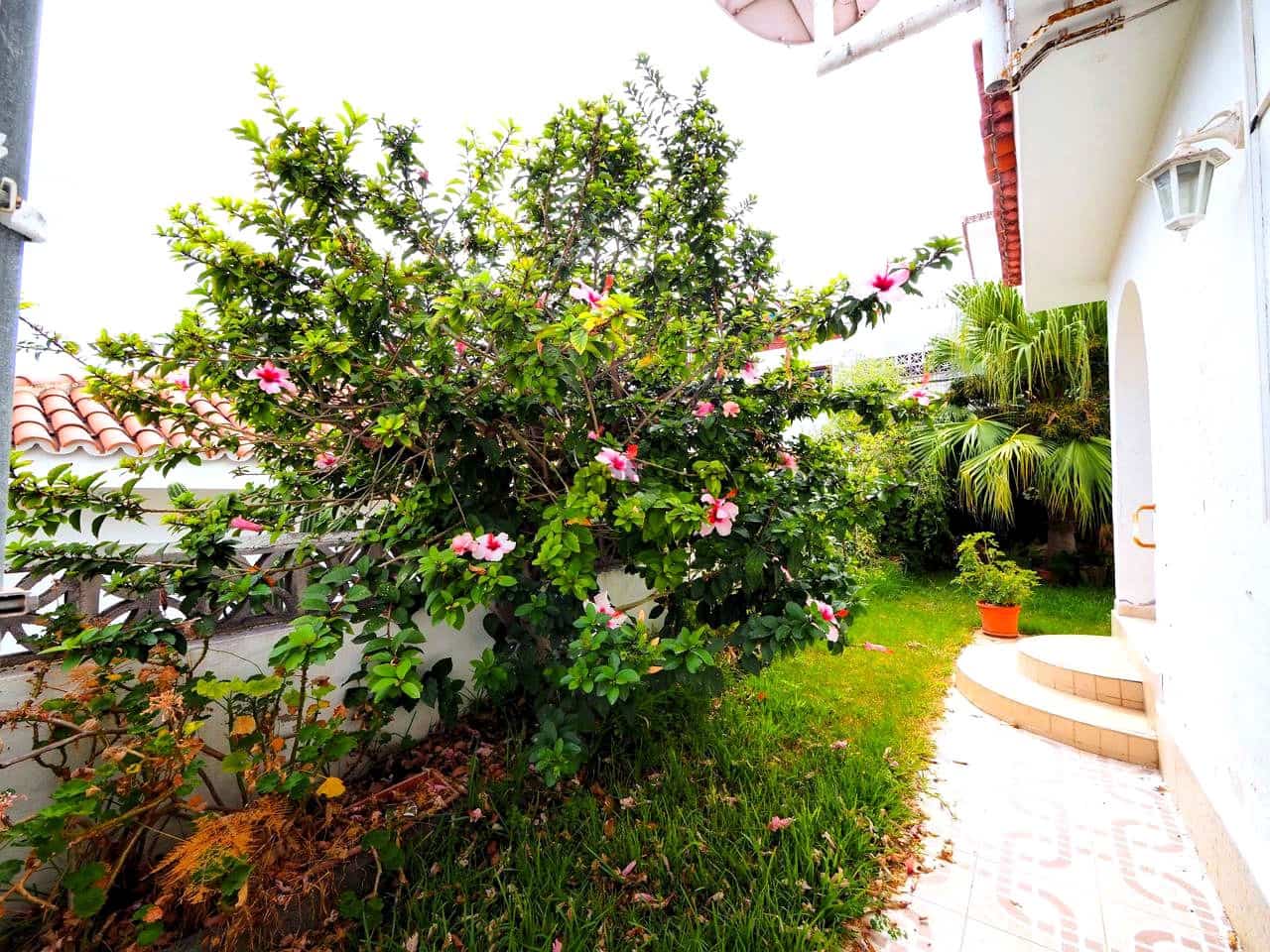 3 slaapkamer Bungalow te koop in Los Realejos - € 440.000 (Ref: 9317153)