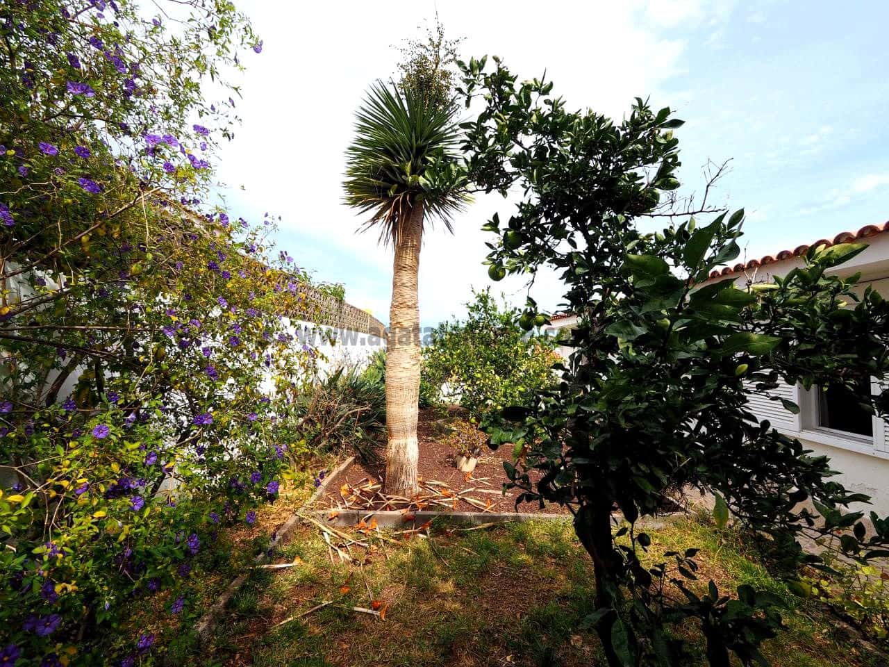 3 slaapkamer Bungalow te koop in Los Realejos - € 440.000 (Ref: 9317153)