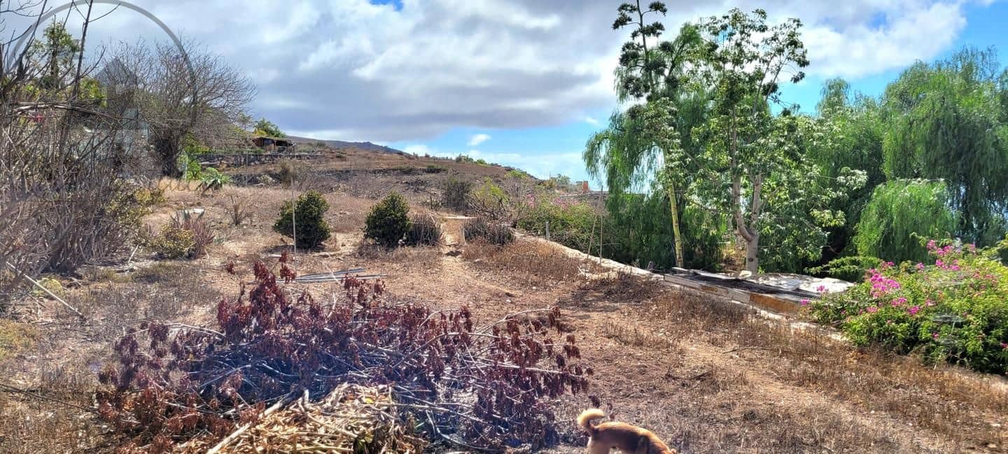 4 soverom Villa til salgs i Vera de Erques med svømmebasseng - € 590 000 (Ref: 9371133)