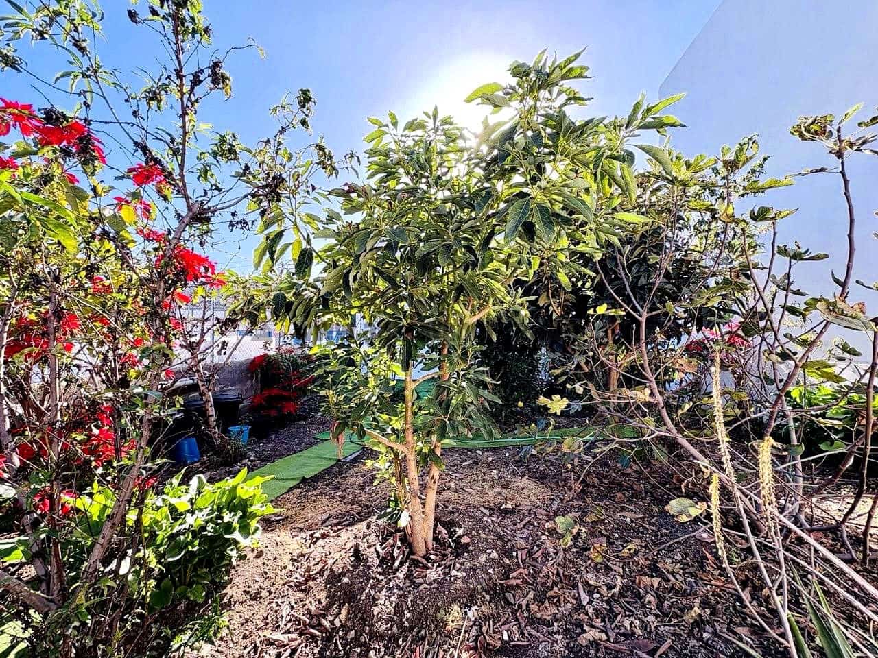 2 sypialnia Willa na sprzedaż w Icod de los Vinos z garażem - 220 000 € (Ref: 9442886)