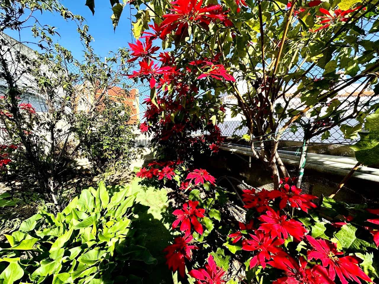 2 sypialnia Willa na sprzedaż w Icod de los Vinos z garażem - 220 000 € (Ref: 9442886)