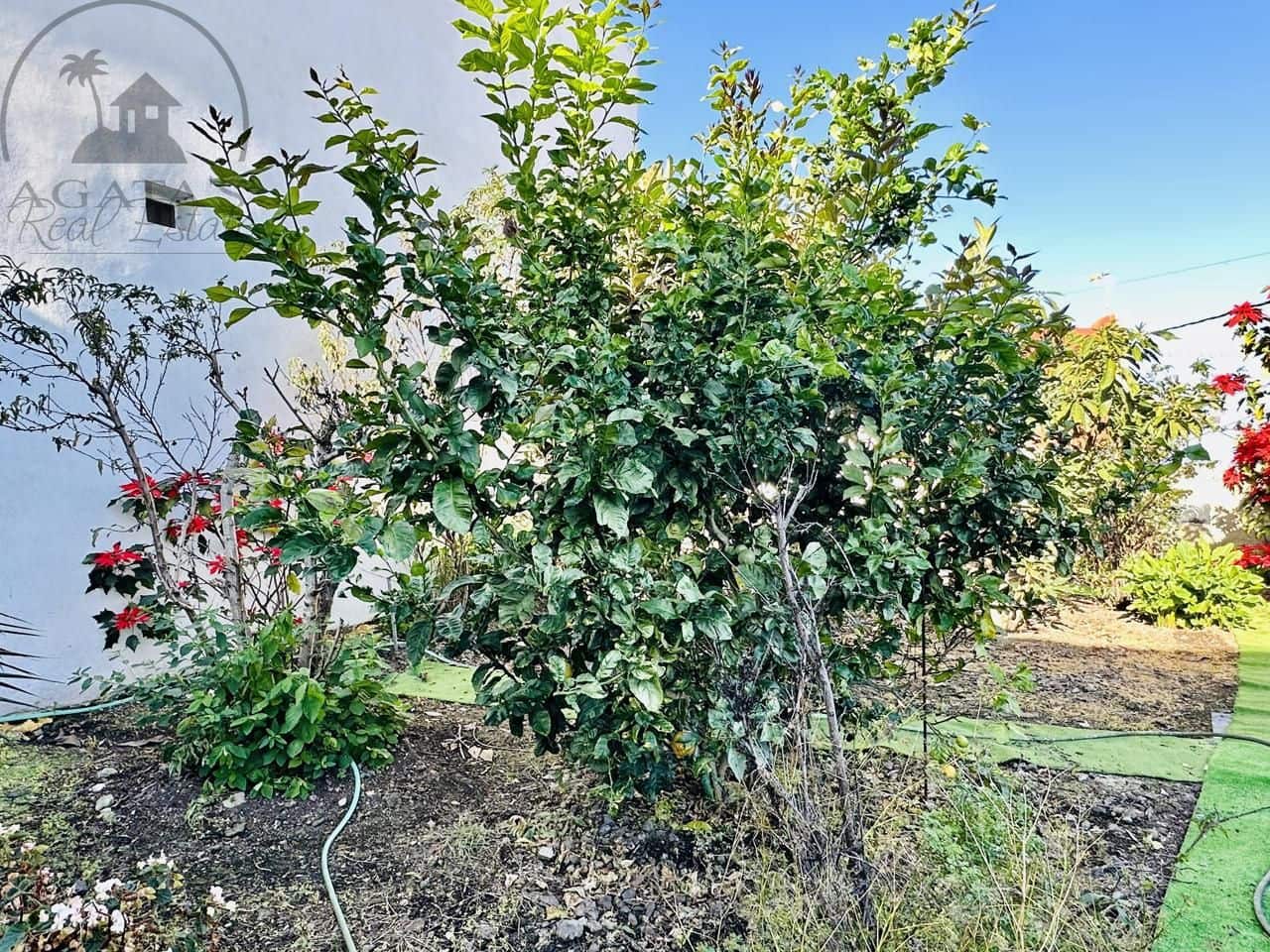 2 soverom Villa til salgs i Icod de los Vinos med garasje - € 220 000 (Ref: 9442886)