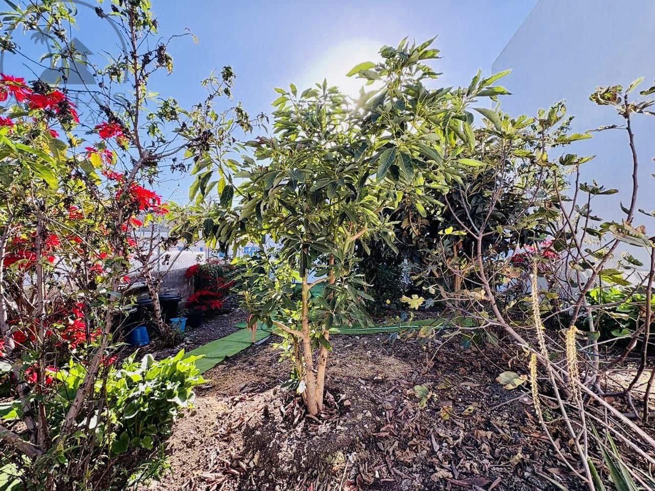 2 soverom Villa til salgs i Icod de los Vinos med garasje - € 220 000 (Ref: 9442886)