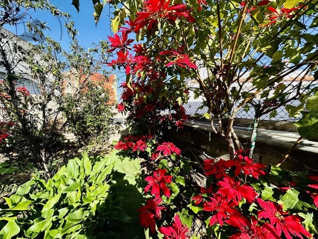 2 quarto Moradia para venda em Icod de los Vinos com garagem - 220 000 € (Ref: 9442886)