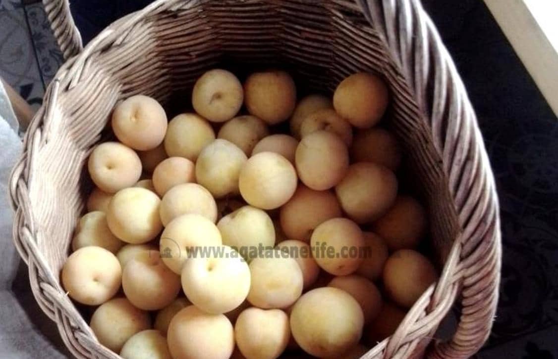 2 soverom Finca/Herregård til salgs i Icod de los Vinos - € 116 000 (Ref: 9442888)