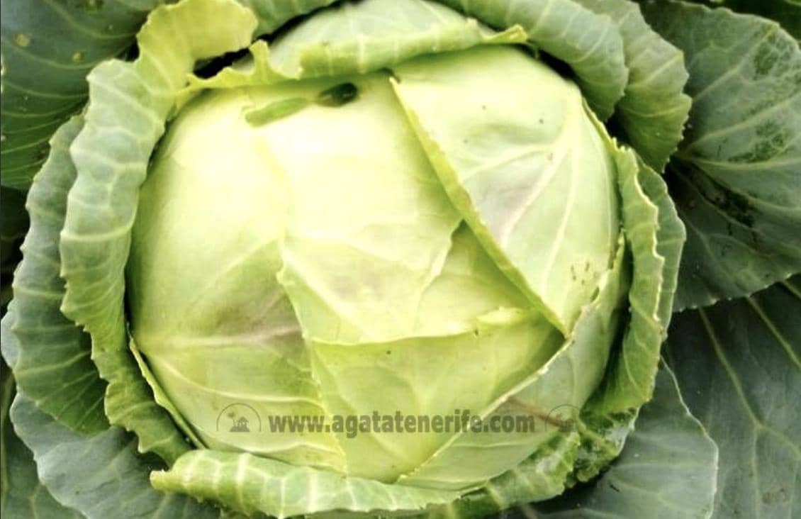 2 soverom Finca/Herregård til salgs i Icod de los Vinos - € 116 000 (Ref: 9442888)