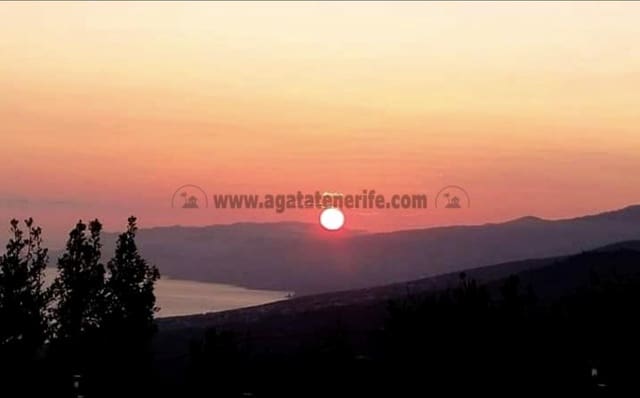 2 chambre Finca/Maison de Campagne à vendre à Icod de los Vinos - 116 000 € (Ref: 9442888)