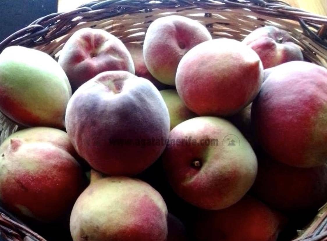 2 soverom Finca/Herregård til salgs i Icod de los Vinos - € 116 000 (Ref: 9442888)