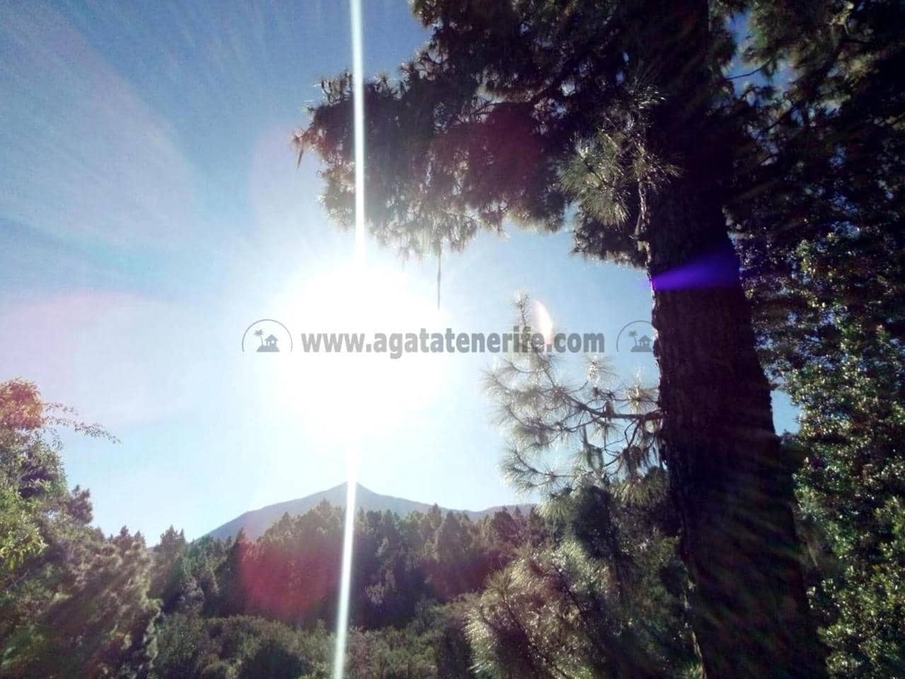 2 soverom Finca/Herregård til salgs i Icod de los Vinos - € 116 000 (Ref: 9442888)