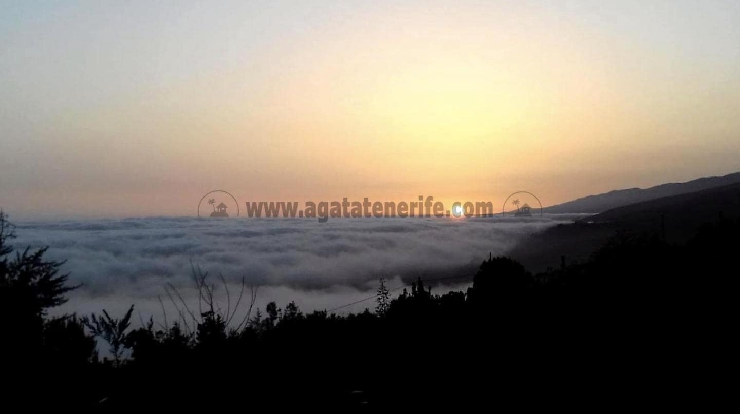 2 soverom Finca/Herregård til salgs i Icod de los Vinos - € 116 000 (Ref: 9442888)