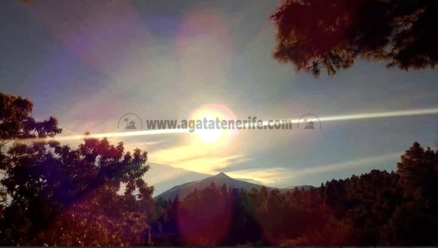 2 soverom Finca/Herregård til salgs i Icod de los Vinos - € 116 000 (Ref: 9442888)