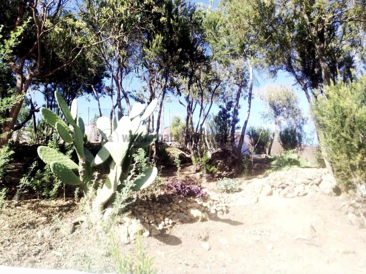 2 soverom Finca/Herregård til salgs i Icod de los Vinos - € 116 000 (Ref: 9442888)