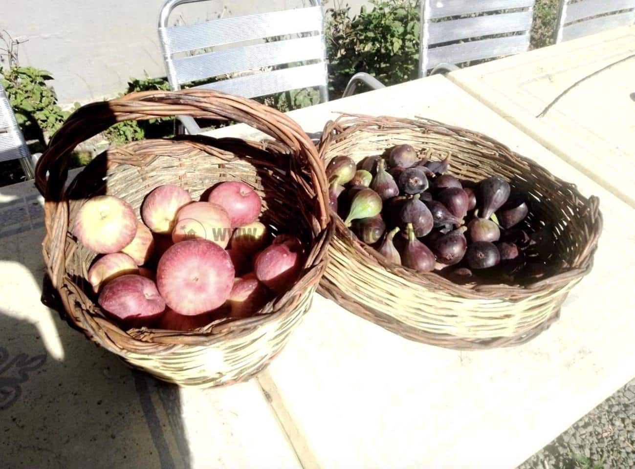 2 soverom Finca/Herregård til salgs i Icod de los Vinos - € 116 000 (Ref: 9442888)