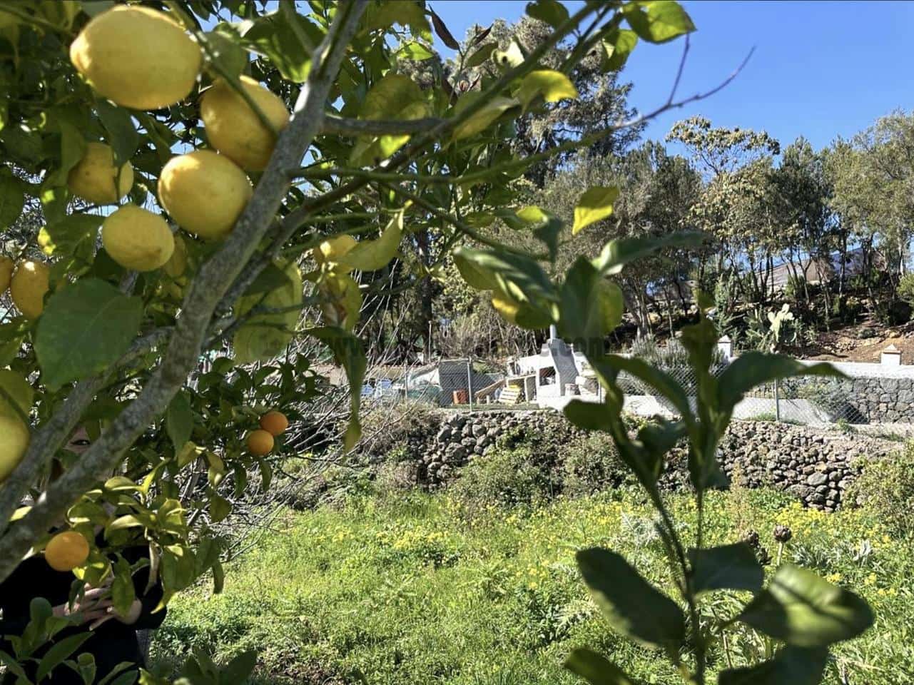 2 soverom Finca/Herregård til salgs i Icod de los Vinos - € 116 000 (Ref: 9442888)