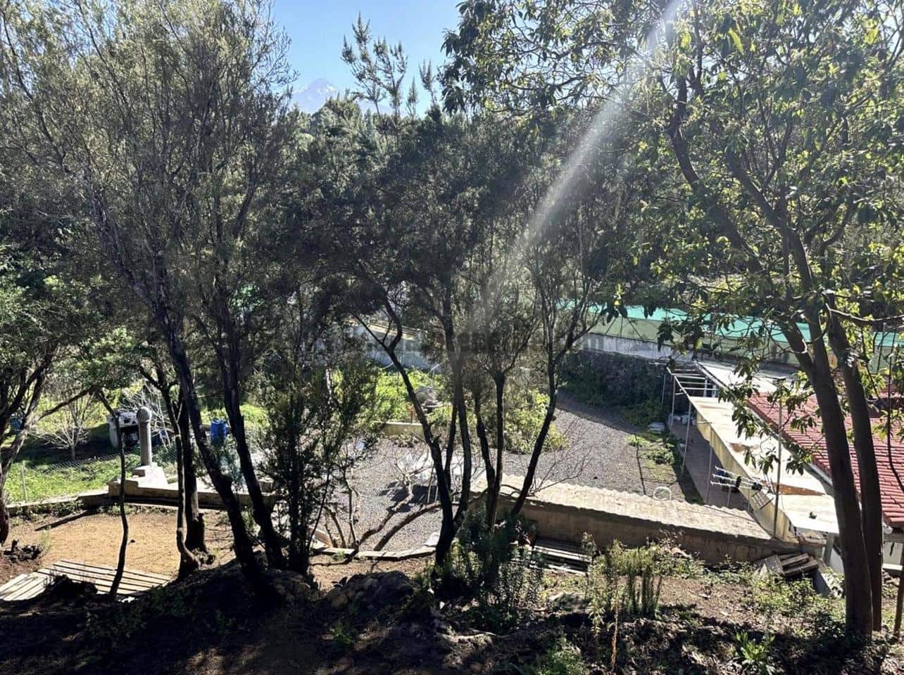 2 soverom Finca/Herregård til salgs i Icod de los Vinos - € 116 000 (Ref: 9442888)