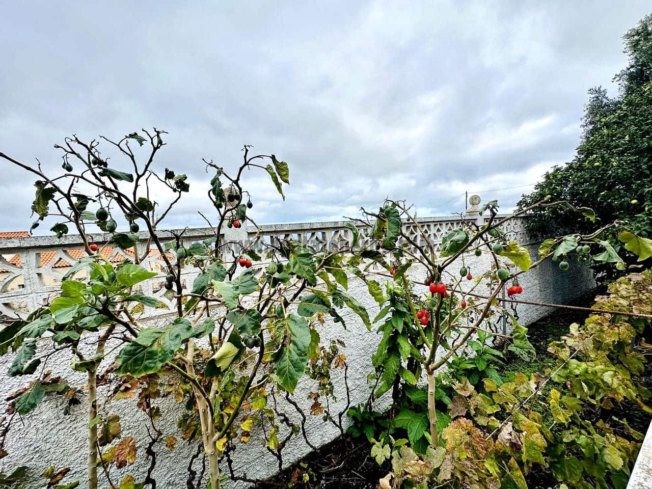 3 soveværelse Villa til salg i La Esperanza med garage - € 850.000 (Ref: 9458430)