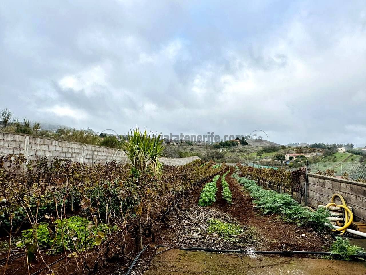 3 soveværelse Villa til salg i La Esperanza med garage - € 850.000 (Ref: 9458430)