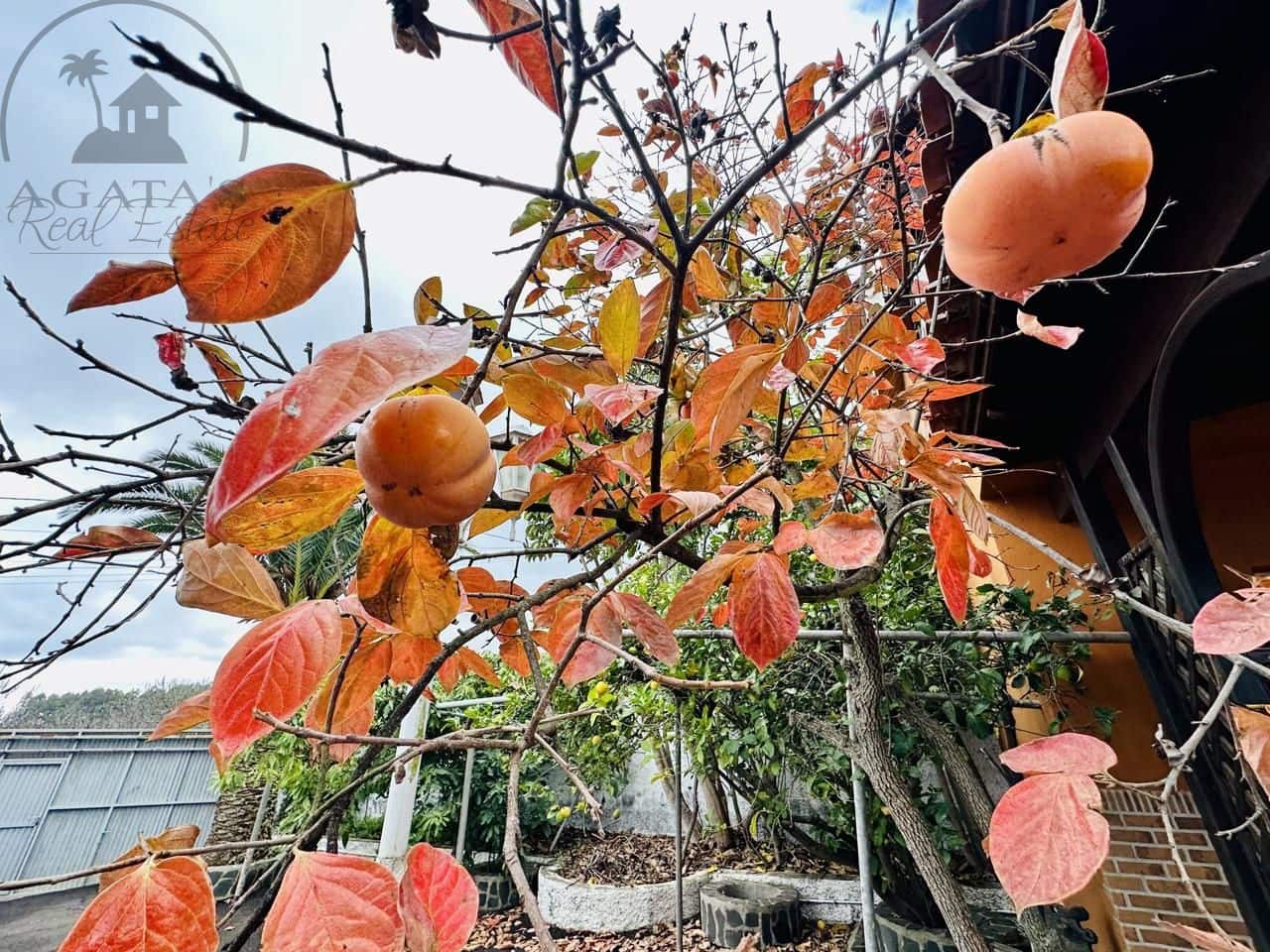 3 soveværelse Villa til salg i La Esperanza med garage - € 850.000 (Ref: 9458430)