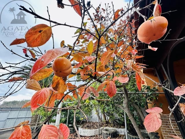 3 Zimmer Villa zu verkaufen in La Esperanza, El Rosario mit Garage - 850.000 € (Ref: 9458430)