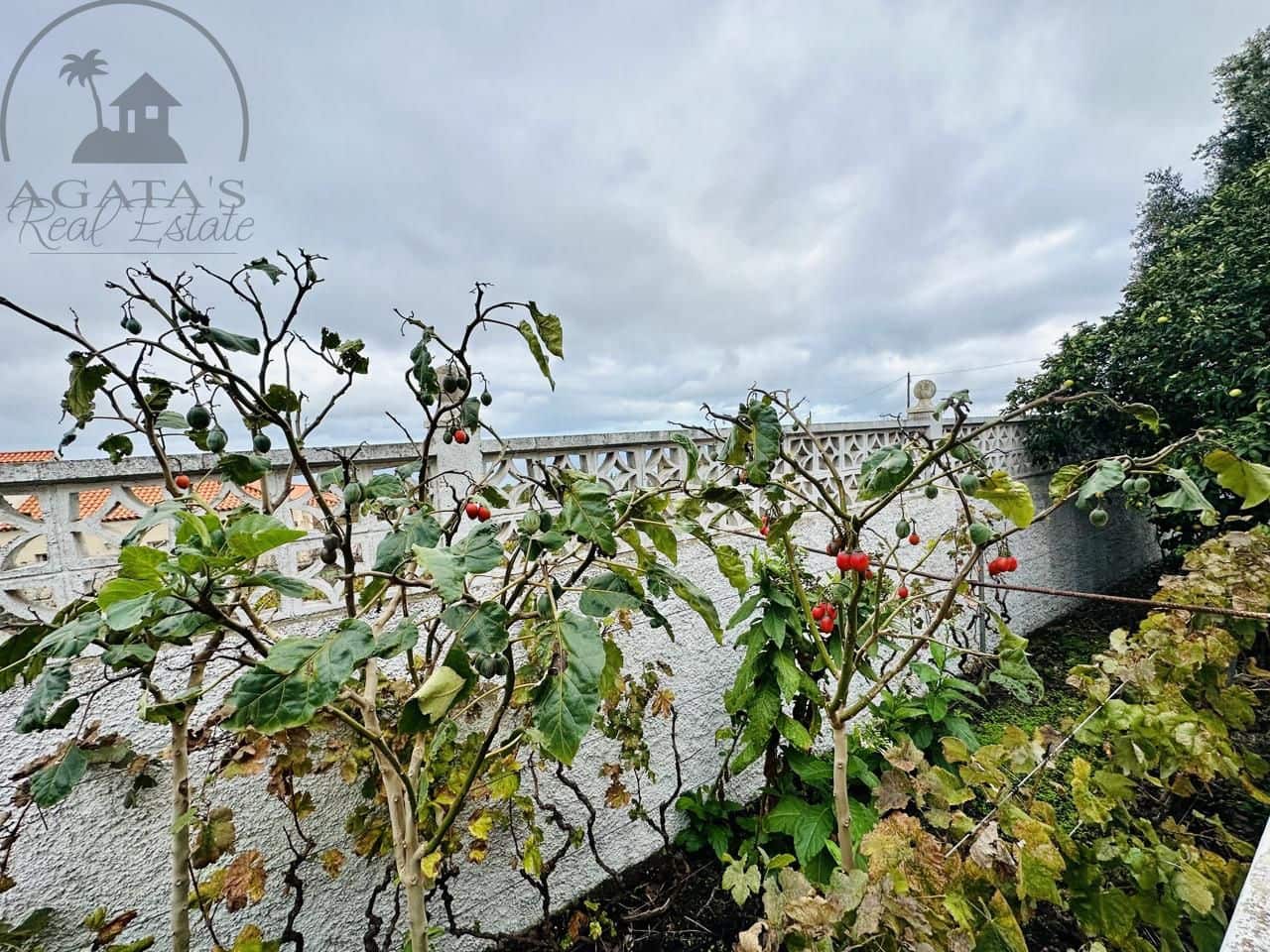 3 soveværelse Villa til salg i La Esperanza med garage - € 850.000 (Ref: 9458430)