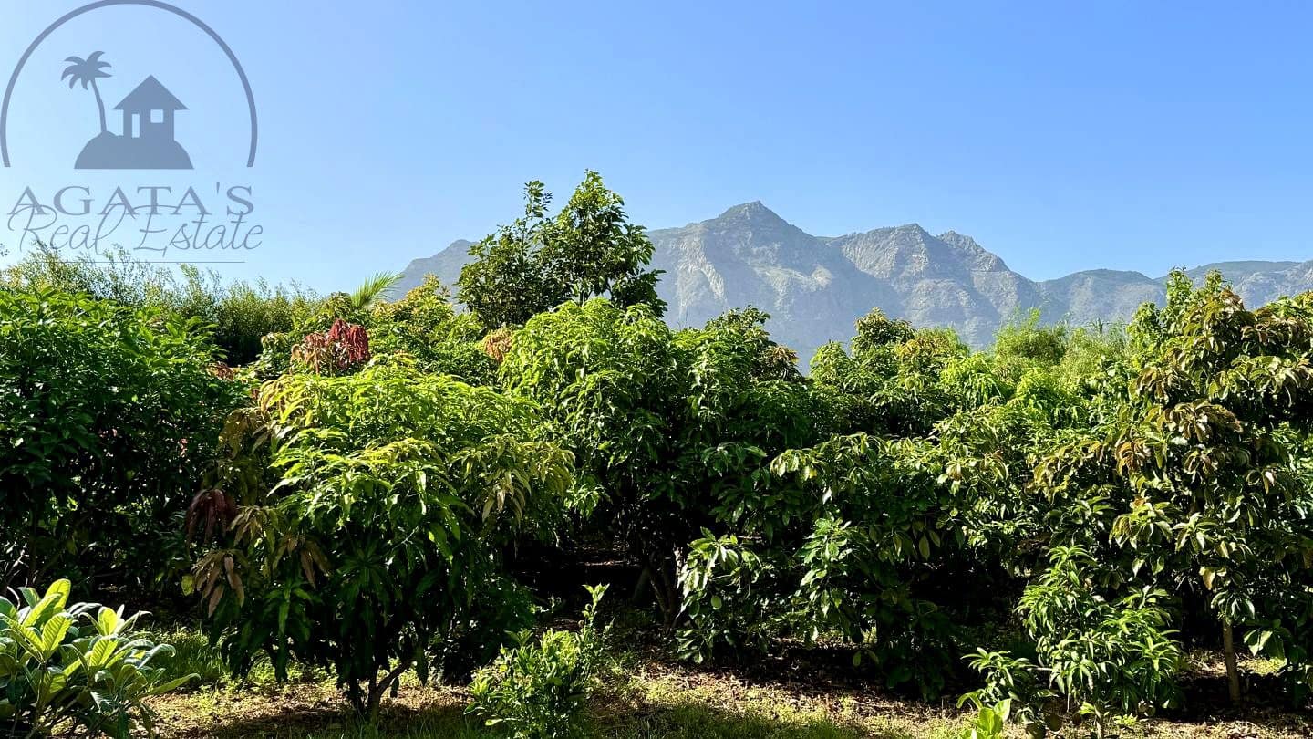 1 chambre Finca/Maison de Campagne à vendre à Buenavista del Norte avec garage - 890 000 € (Ref: 9554504)