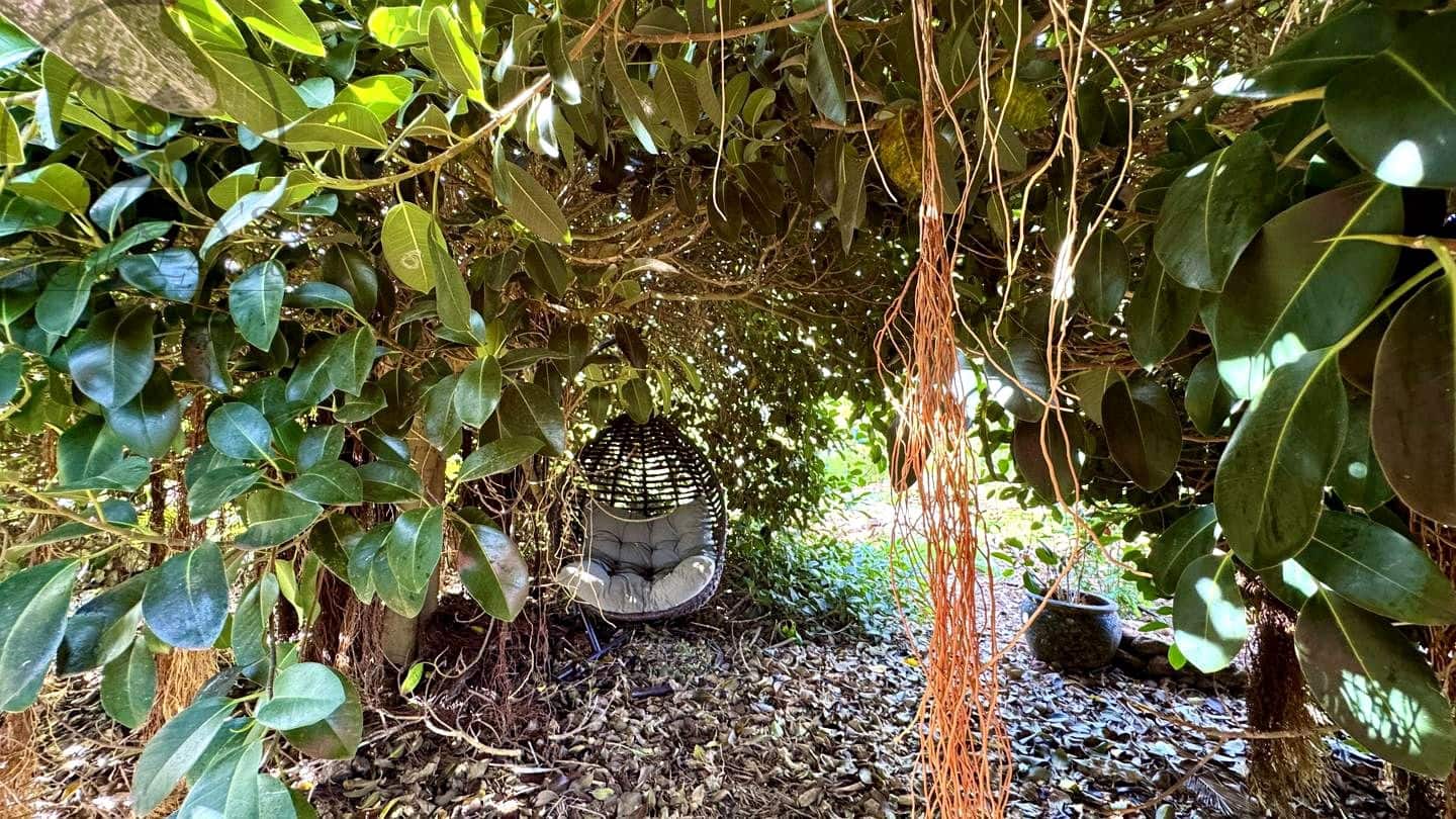 1 chambre Finca/Maison de Campagne à vendre à Buenavista del Norte avec garage - 890 000 € (Ref: 9554504)