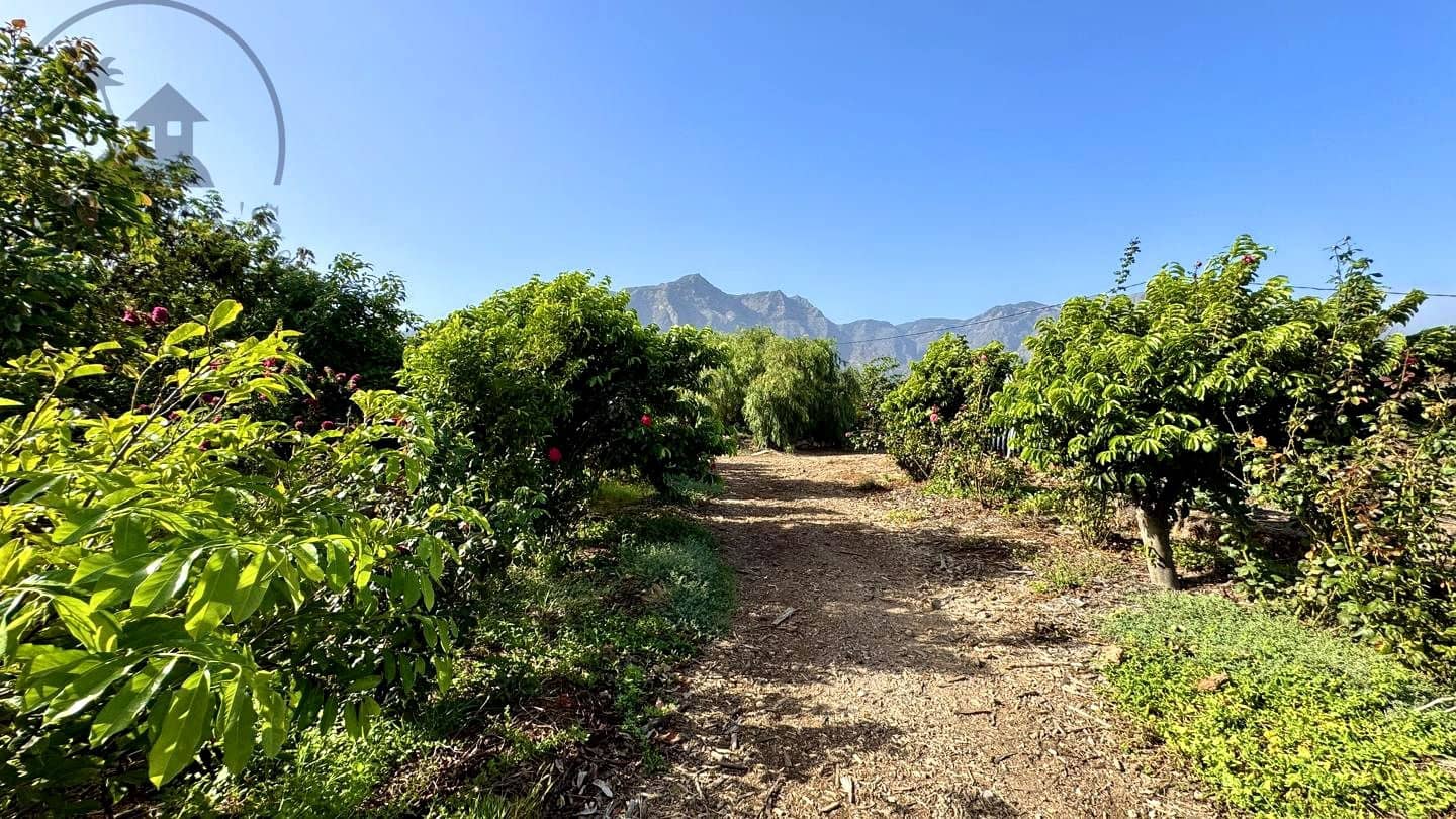 1 chambre Finca/Maison de Campagne à vendre à Buenavista del Norte avec garage - 890 000 € (Ref: 9554504)