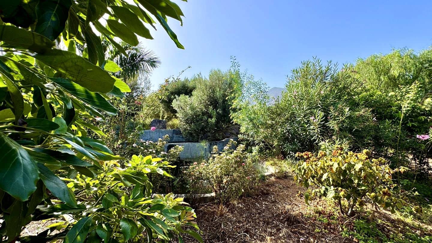 1 chambre Finca/Maison de Campagne à vendre à Buenavista del Norte avec garage - 890 000 € (Ref: 9554504)