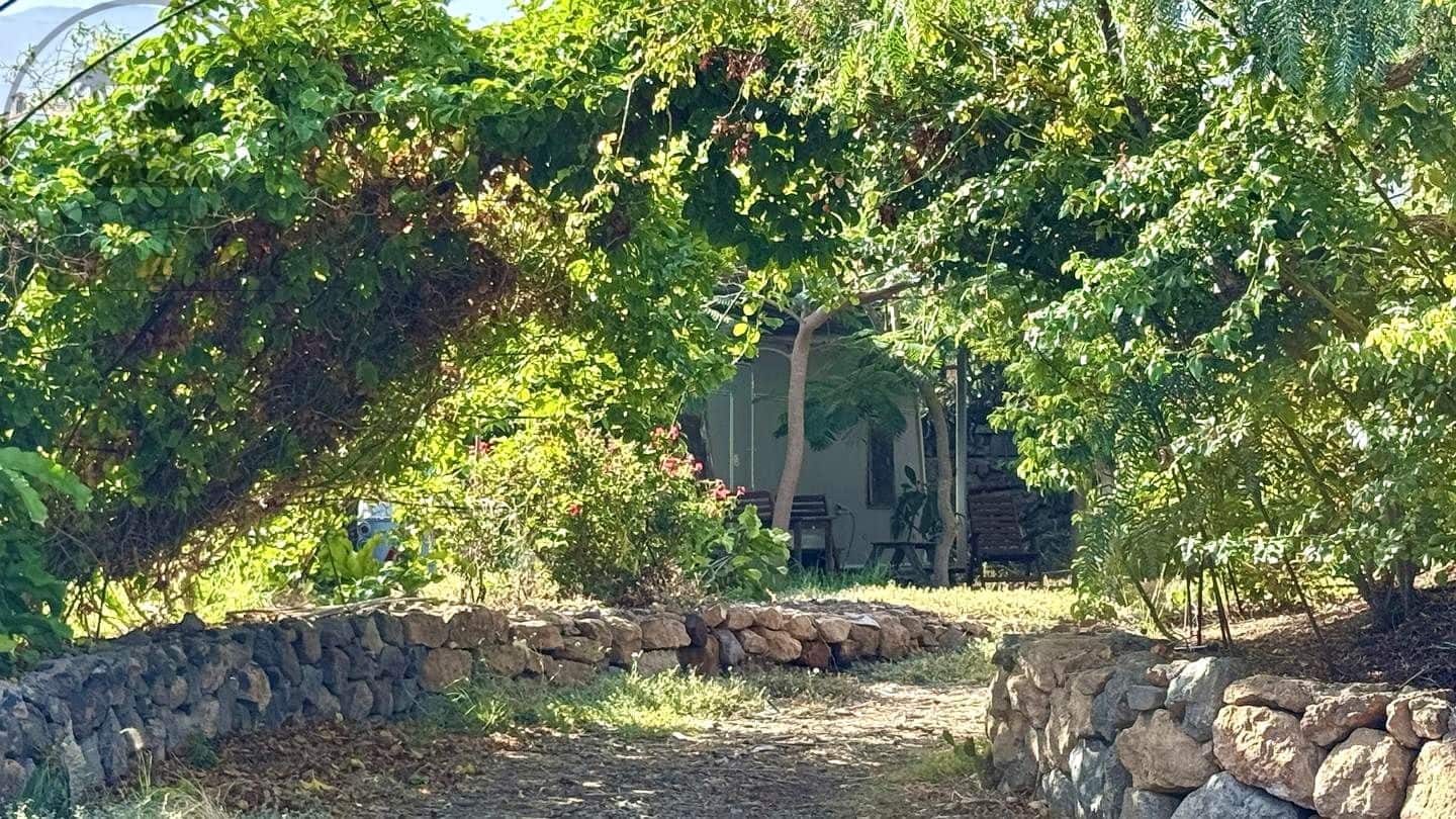 1 chambre Finca/Maison de Campagne à vendre à Buenavista del Norte avec garage - 890 000 € (Ref: 9554504)