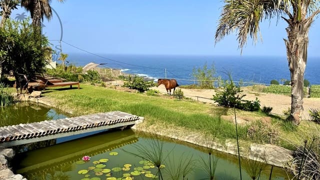 1 makuuhuone Maalaistalo myytävänä paikassa Buenavista del Norte mukana 
autotalli - 890 000 € (Ref: 9554504)