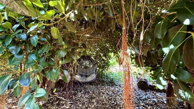 1 makuuhuone Maalaistalo myytävänä paikassa Buenavista del Norte mukana 
autotalli - 890 000 € (Ref: 9554504)