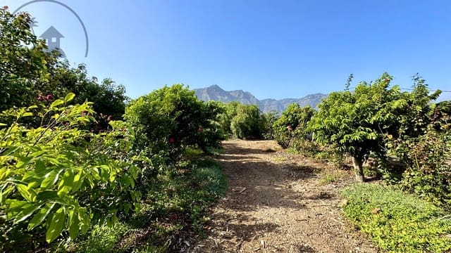 1 makuuhuone Maalaistalo myytävänä paikassa Buenavista del Norte mukana 
autotalli - 890 000 € (Ref: 9554504)