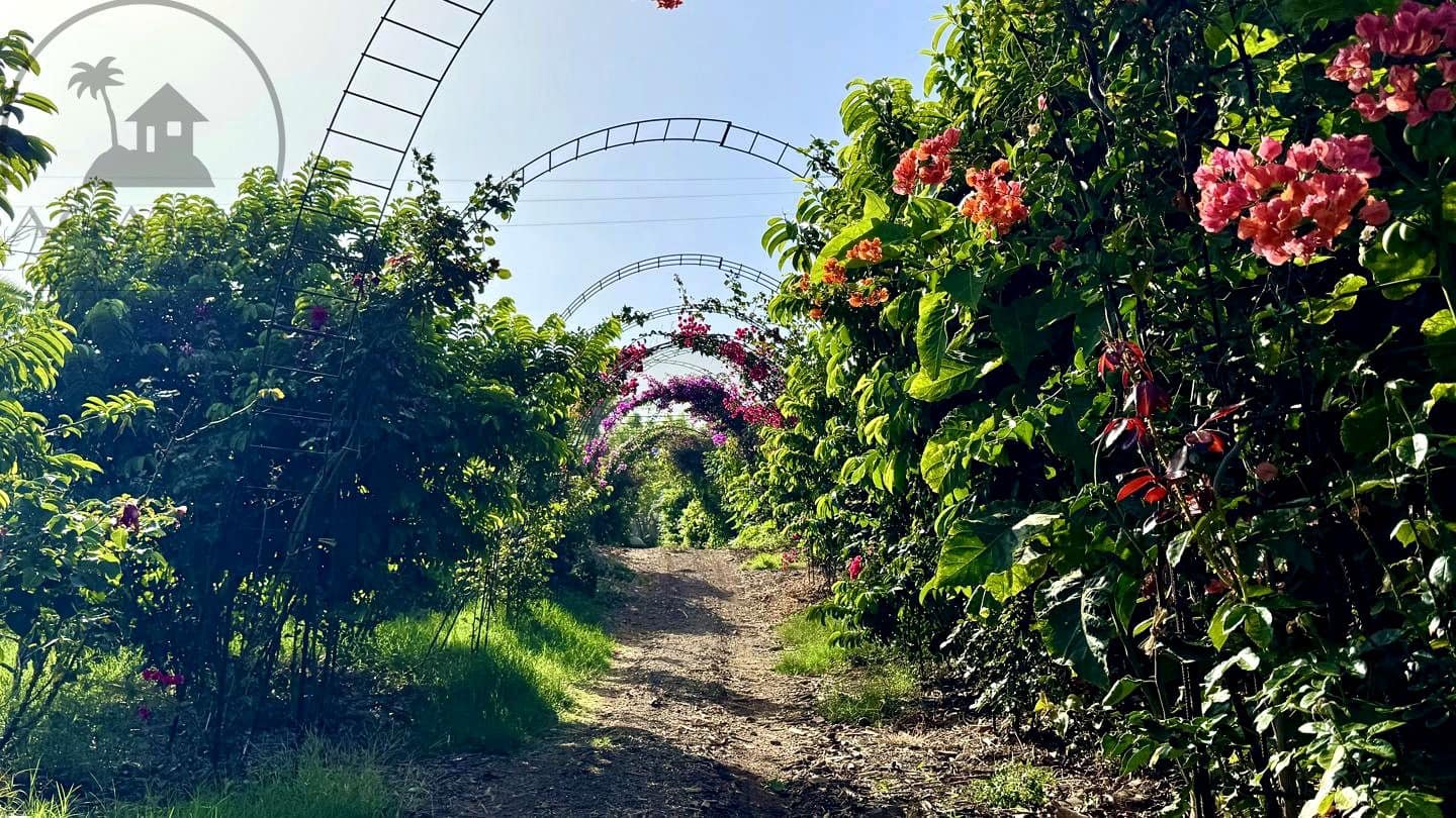 1 chambre Finca/Maison de Campagne à vendre à Buenavista del Norte avec garage - 890 000 € (Ref: 9554504)