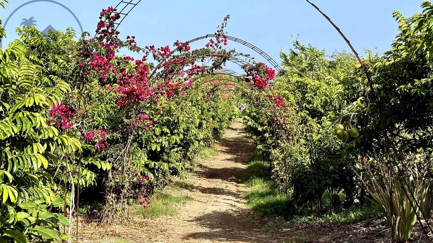 1 chambre Finca/Maison de Campagne à vendre à Buenavista del Norte avec garage - 890 000 € (Ref: 9554504)