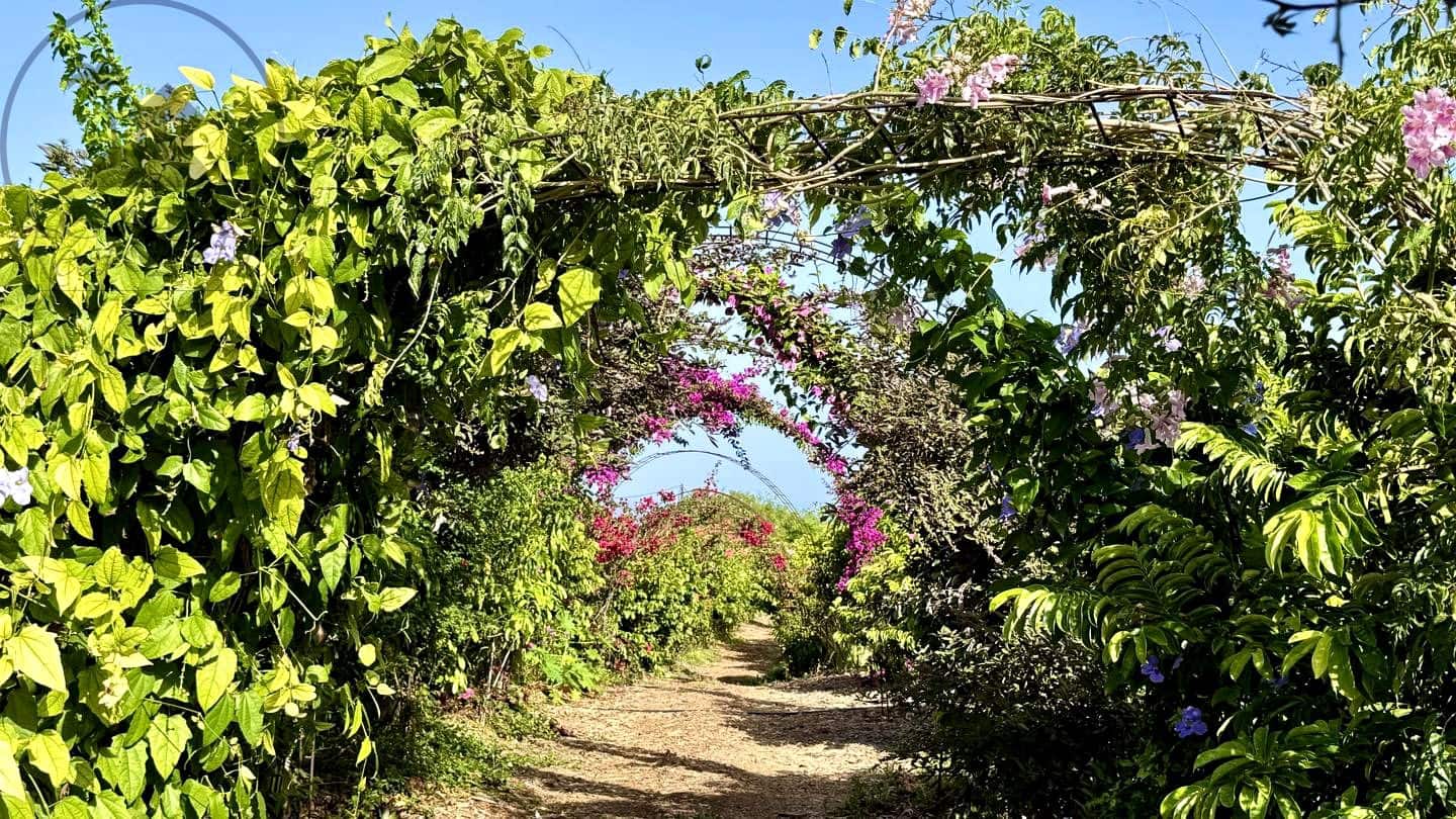 1 chambre Finca/Maison de Campagne à vendre à Buenavista del Norte avec garage - 890 000 € (Ref: 9554504)