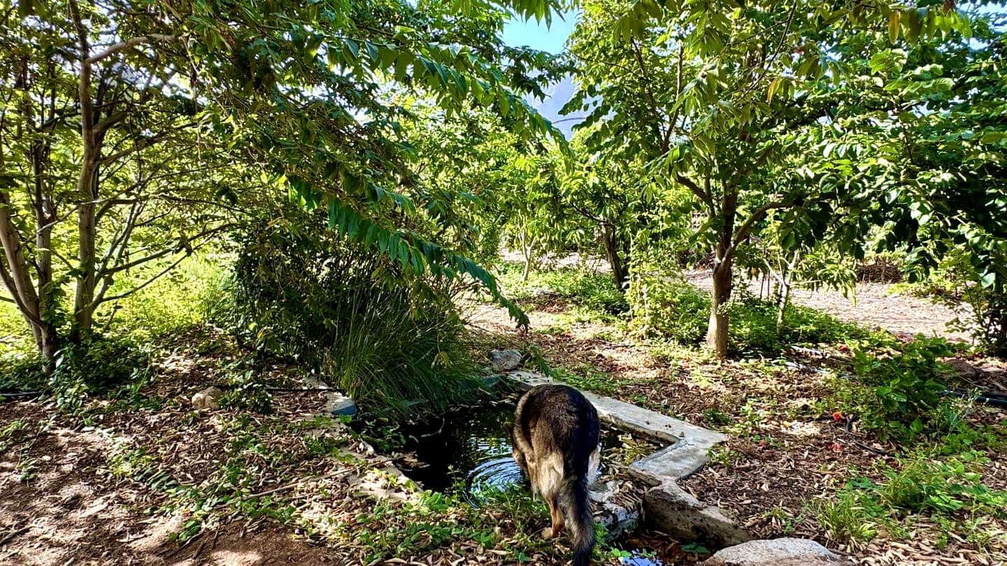 1 chambre Finca/Maison de Campagne à vendre à Buenavista del Norte avec garage - 890 000 € (Ref: 9554504)