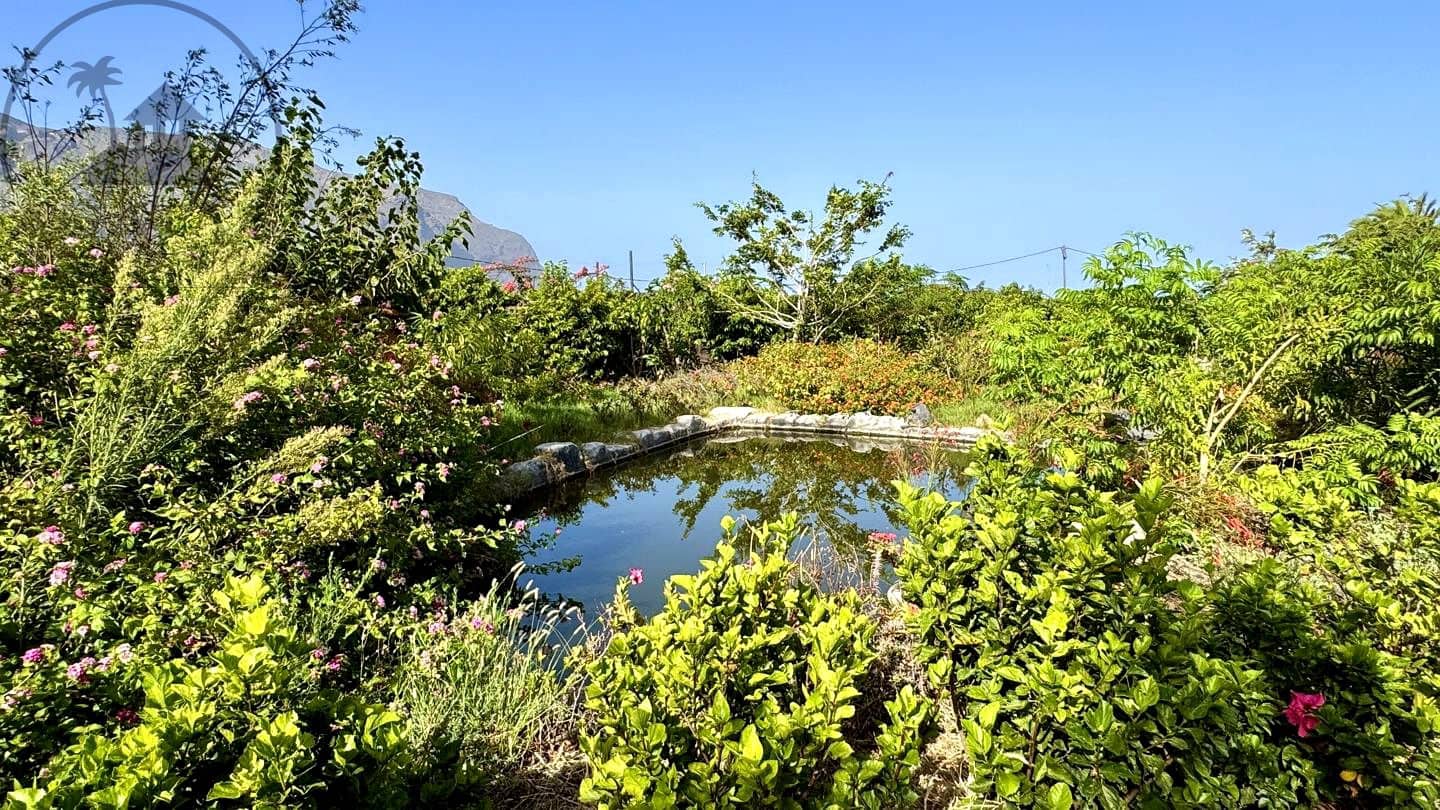 1 chambre Finca/Maison de Campagne à vendre à Buenavista del Norte avec garage - 890 000 € (Ref: 9554504)