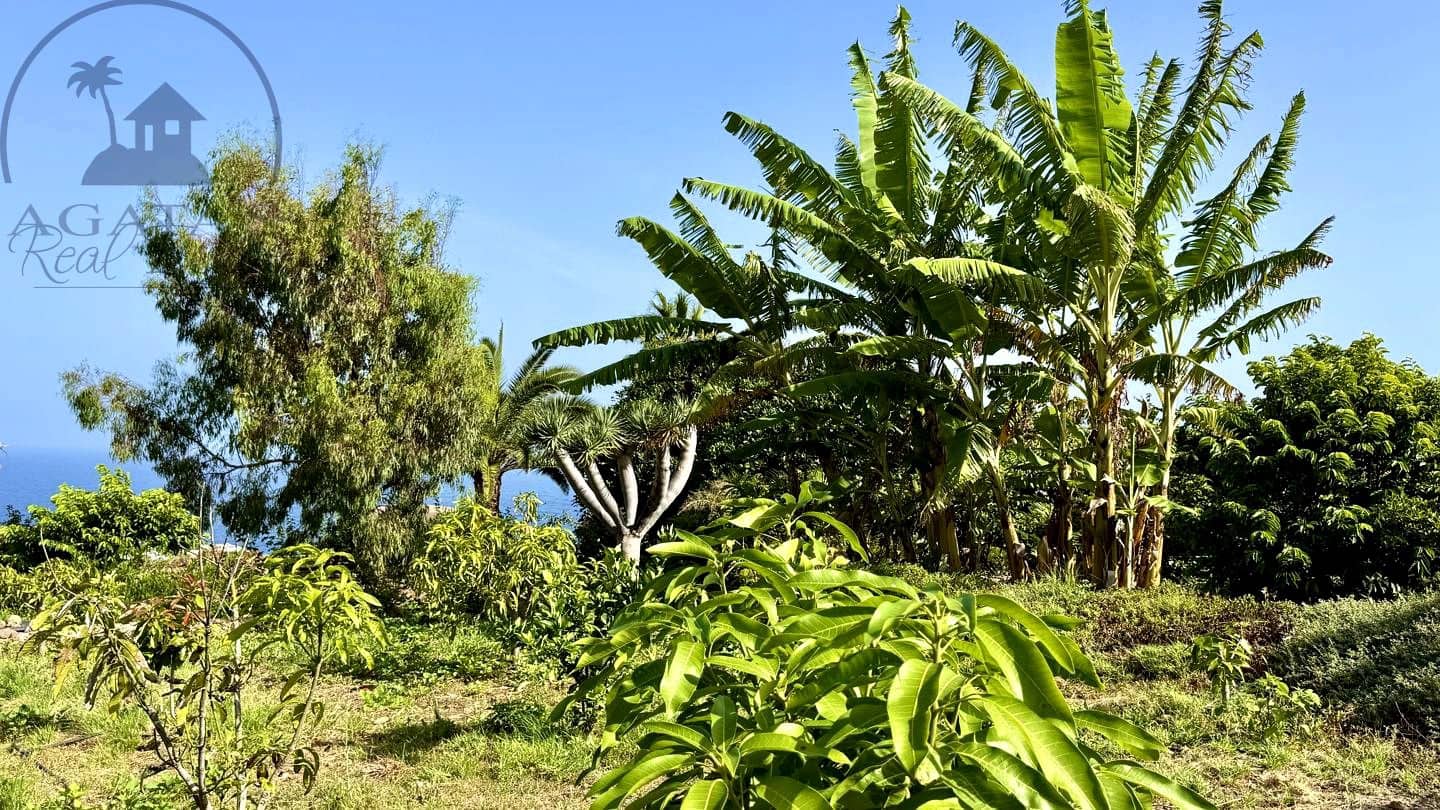 1 chambre Finca/Maison de Campagne à vendre à Buenavista del Norte avec garage - 890 000 € (Ref: 9554504)