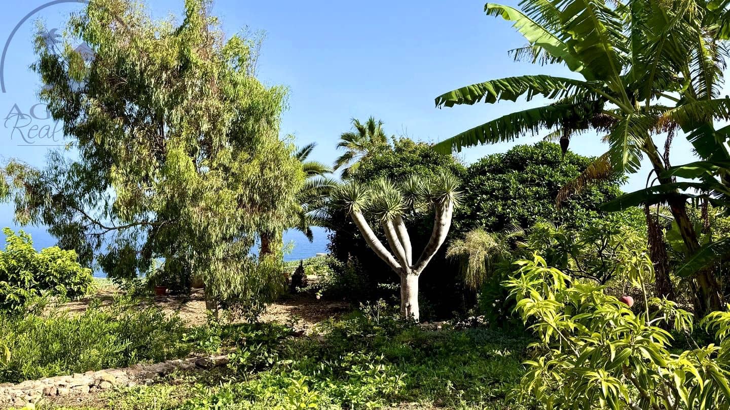 1 chambre Finca/Maison de Campagne à vendre à Buenavista del Norte avec garage - 890 000 € (Ref: 9554504)