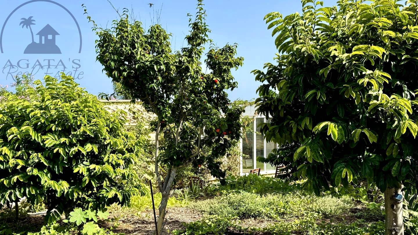 1 chambre Finca/Maison de Campagne à vendre à Buenavista del Norte avec garage - 890 000 € (Ref: 9554504)