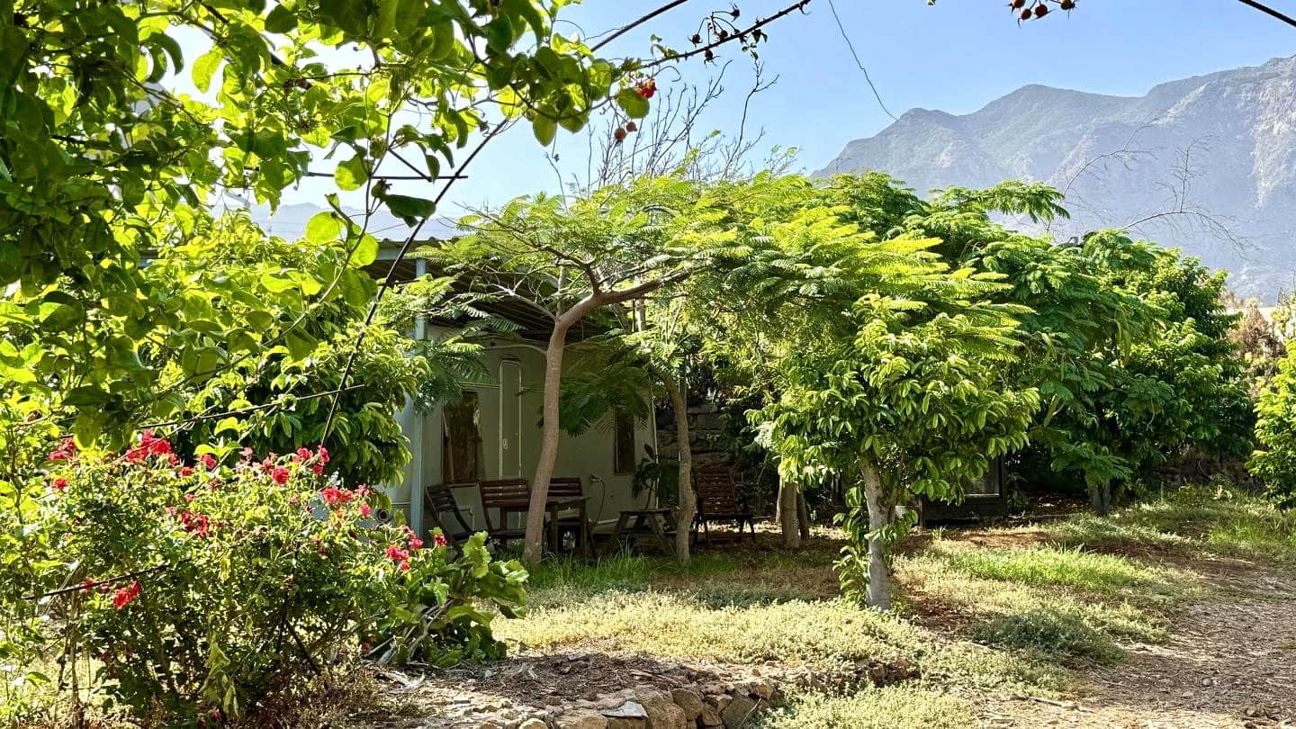 1 chambre Finca/Maison de Campagne à vendre à Buenavista del Norte avec garage - 890 000 € (Ref: 9554504)