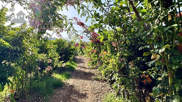 1 makuuhuone Maalaistalo myytävänä paikassa Buenavista del Norte mukana 
autotalli - 890 000 € (Ref: 9554504)