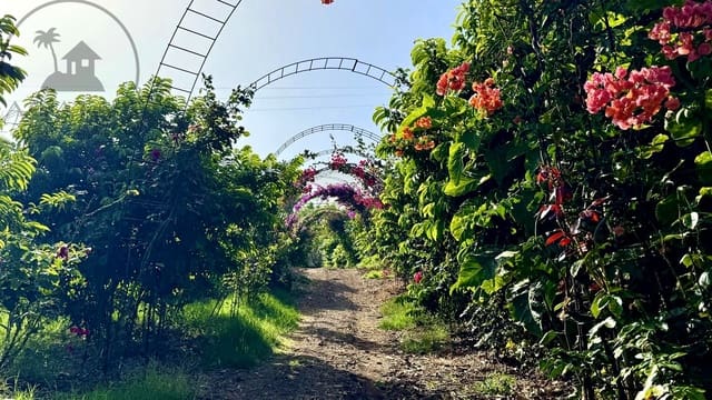 1 makuuhuone Maalaistalo myytävänä paikassa Buenavista del Norte mukana 
autotalli - 890 000 € (Ref: 9554504)