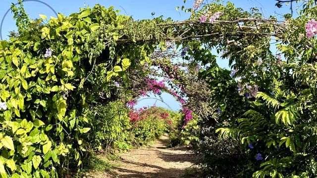 1 makuuhuone Maalaistalo myytävänä paikassa Buenavista del Norte mukana 
autotalli - 890 000 € (Ref: 9554504)