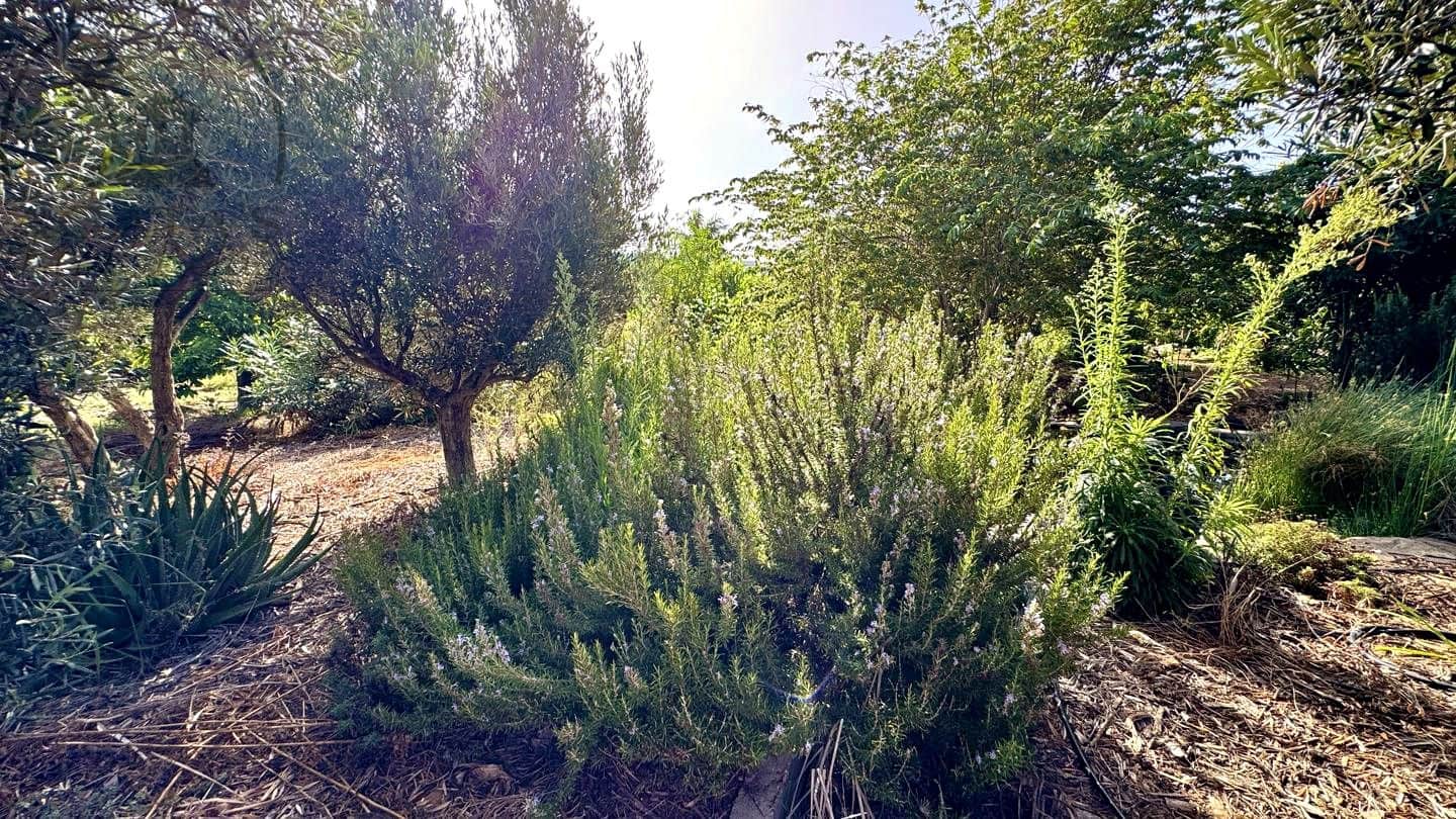 1 chambre Finca/Maison de Campagne à vendre à Buenavista del Norte avec garage - 890 000 € (Ref: 9554504)