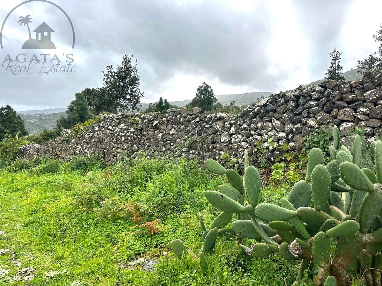 Mark till salu i La Guancha - 129 000 € (Ref: 9575458)